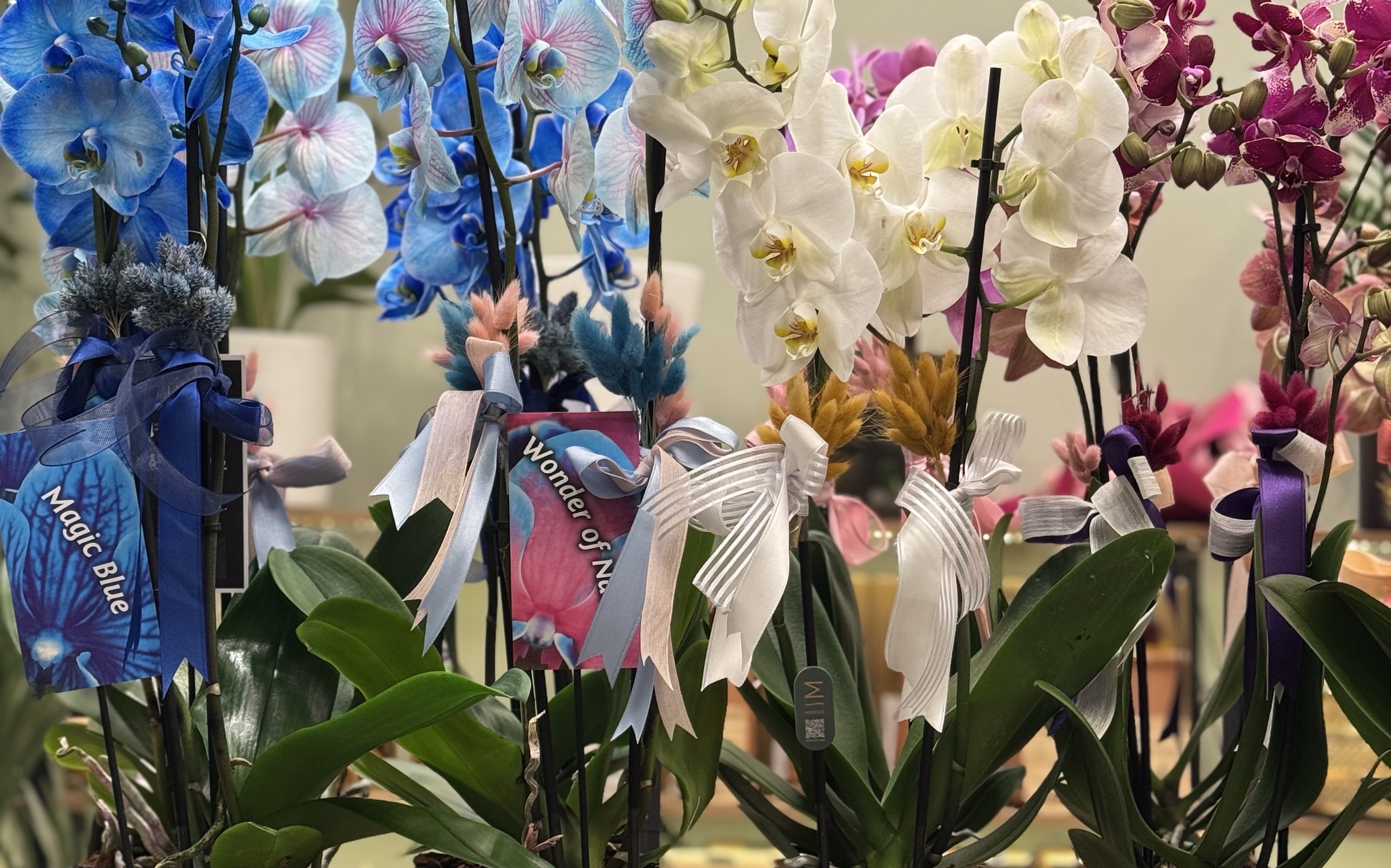 Artar Flower Çiçekçilikte Başiskele Kart Kullanıcılarına Özel İndirimler