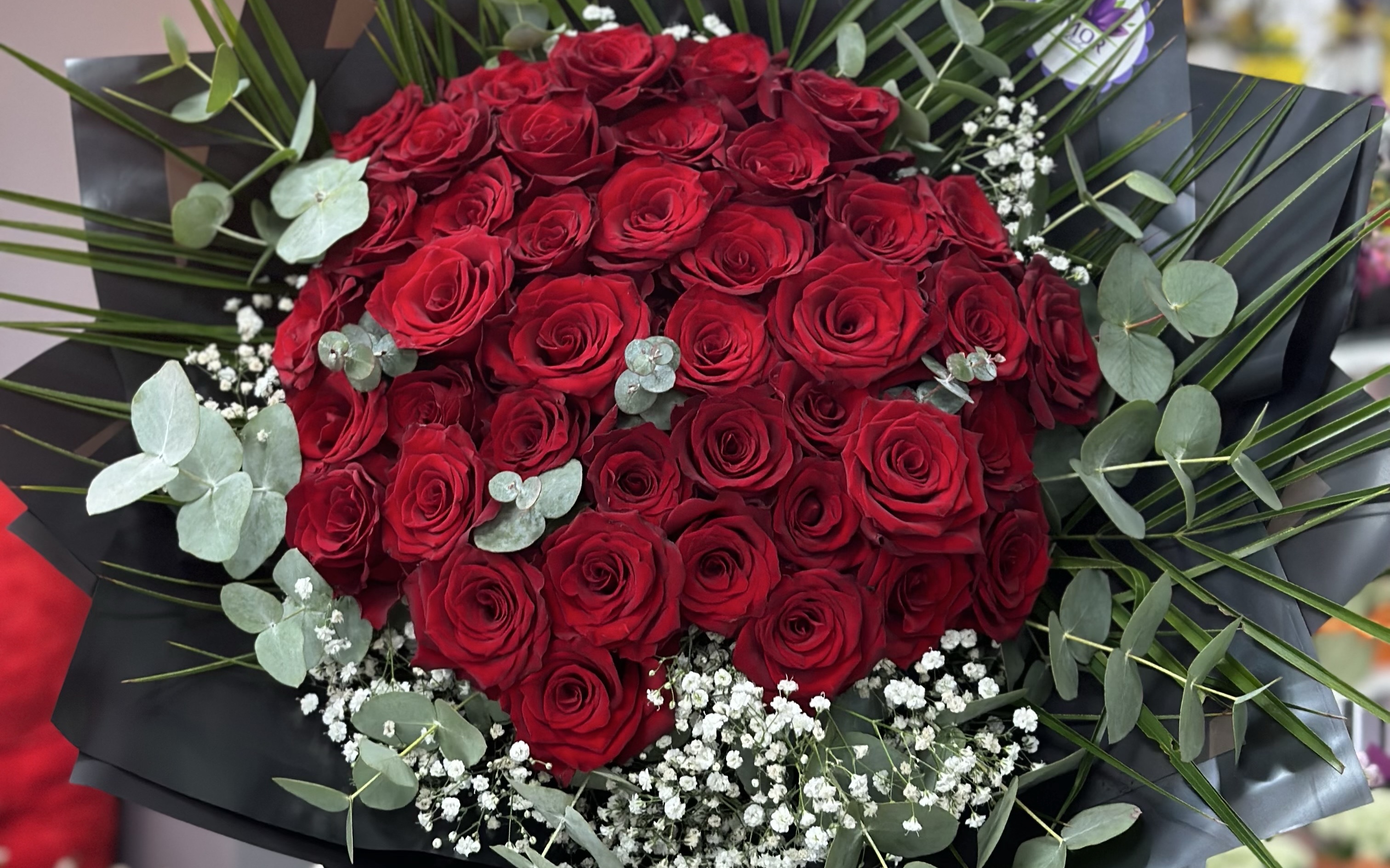 Mor Bahçede Sevgililer Gününe Özel Başiskele Kart Üyelerine Kampanya